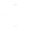 small white heron